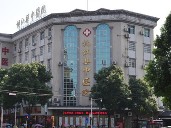 力锐斯UPS和蓄电池 - 湖南益阳桃江县中医院项目