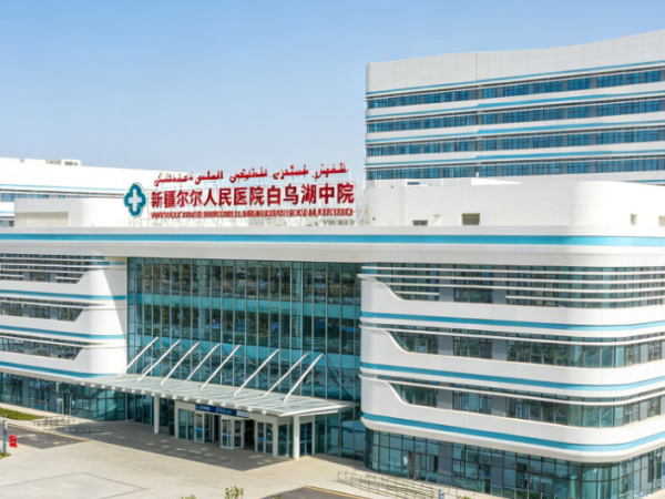 力锐斯UPS和蓄电池 - 新疆人民医院白鸟湖分院